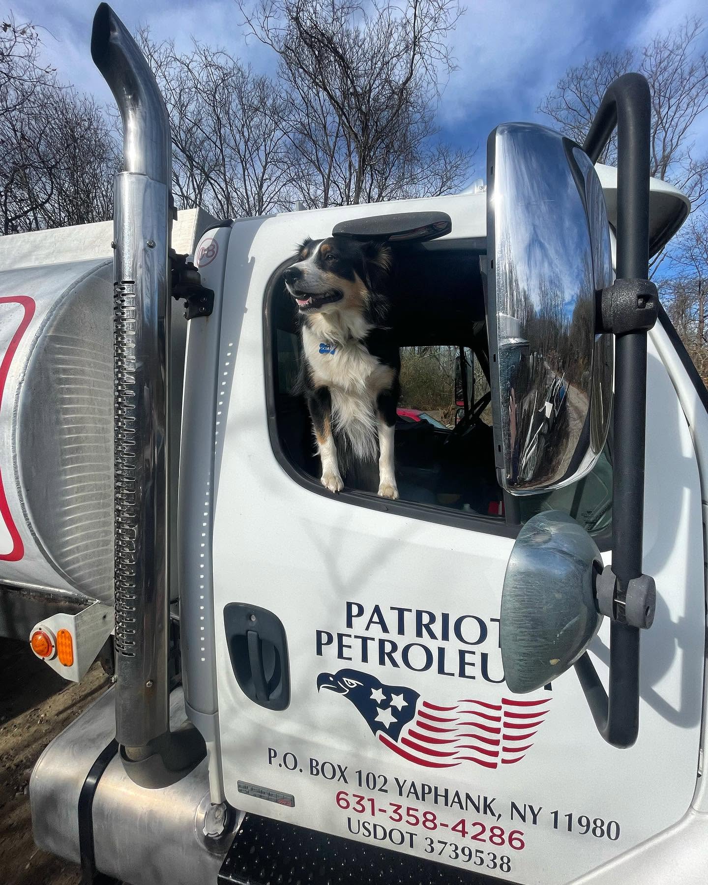 Scully, the Patriot Petroleum mascot dog